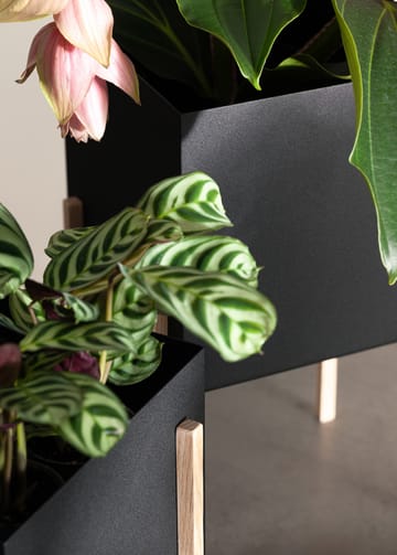 Botanic pot krukke - Svart-ask - Design House Stockholm