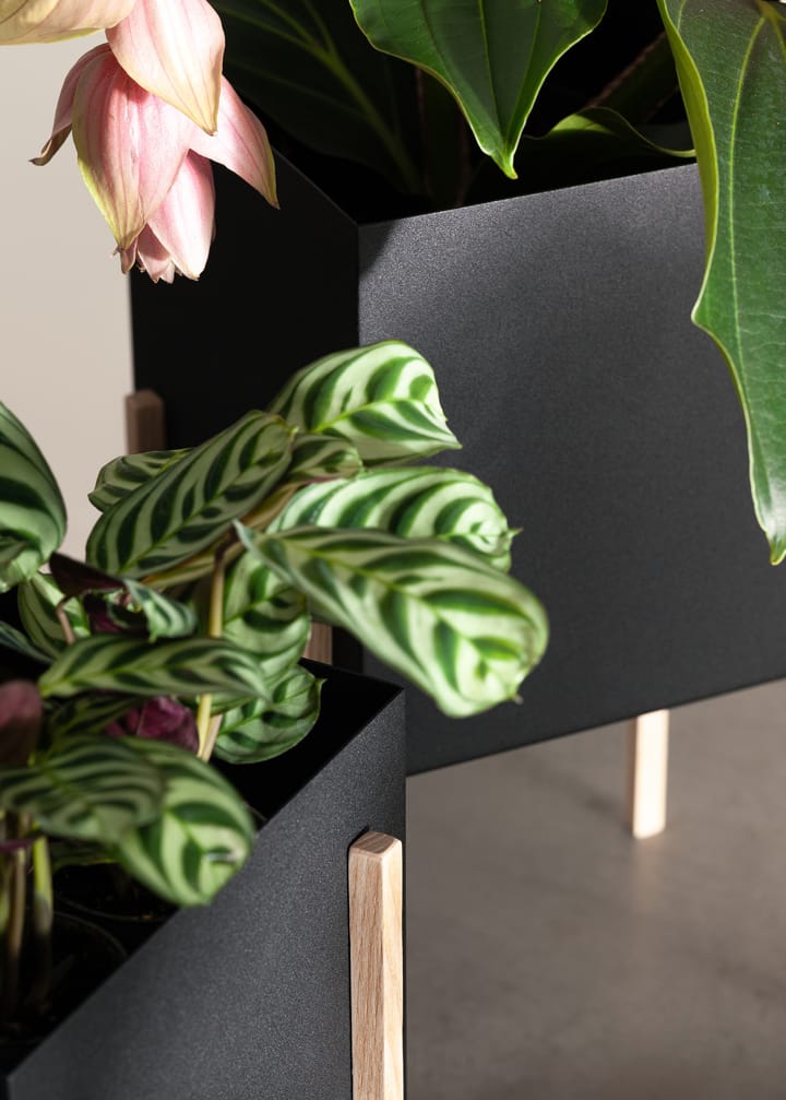 Botanic pot krukke, Svart-ask Design House Stockholm