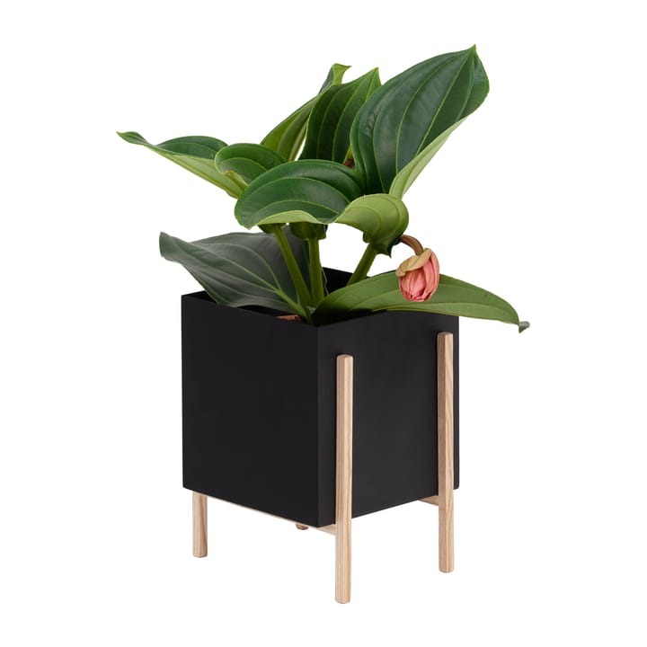 Botanic pot krukke - Svart-ask - Design House Stockholm