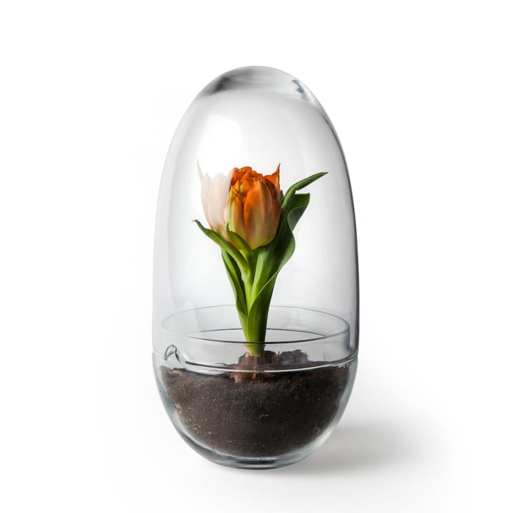 Grow vekstkuppel - Medium ø11 cm - Design House Stockholm