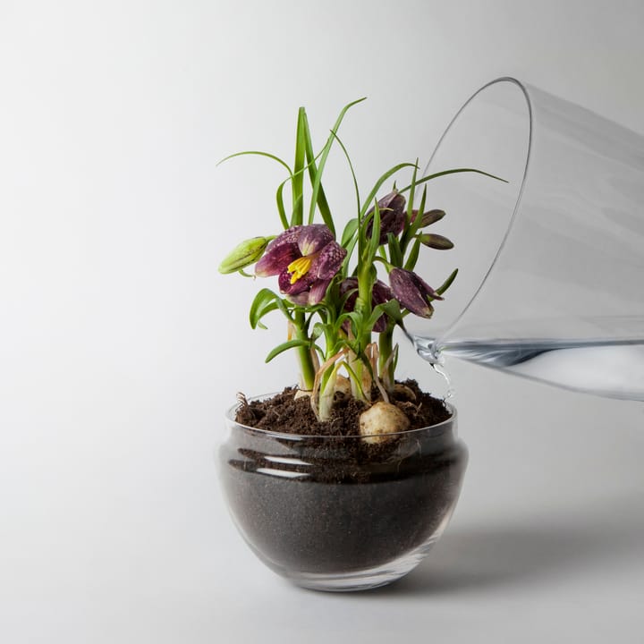 Grow vekstkuppel - Medium Ø11 cm - Design House Stockholm