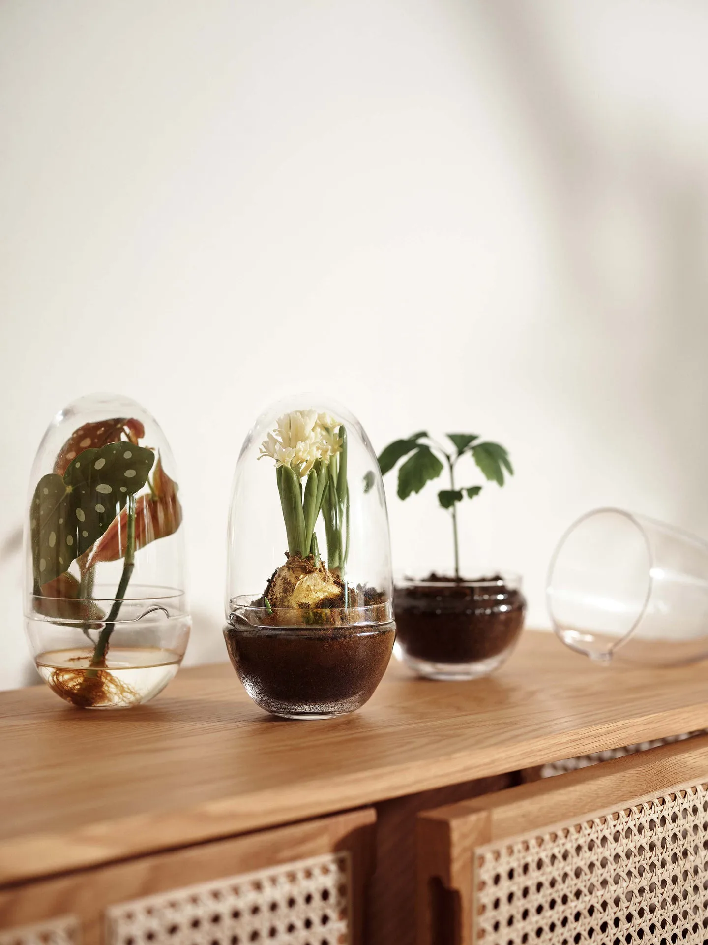 Grow vekstkuppel, Medium ø11 cm Design House Stockholm
