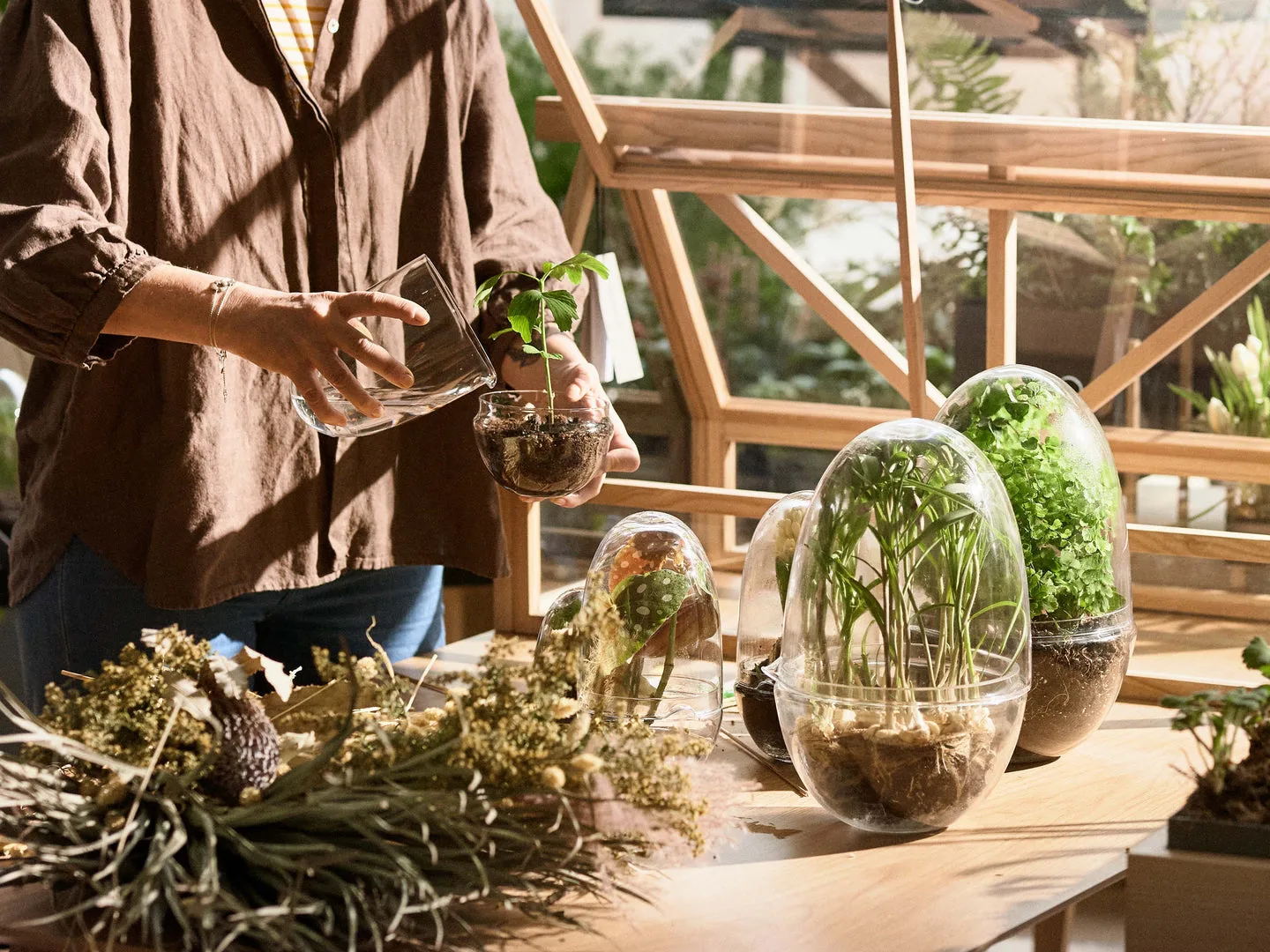 Grow vekstkuppel, Medium ø11 cm Design House Stockholm