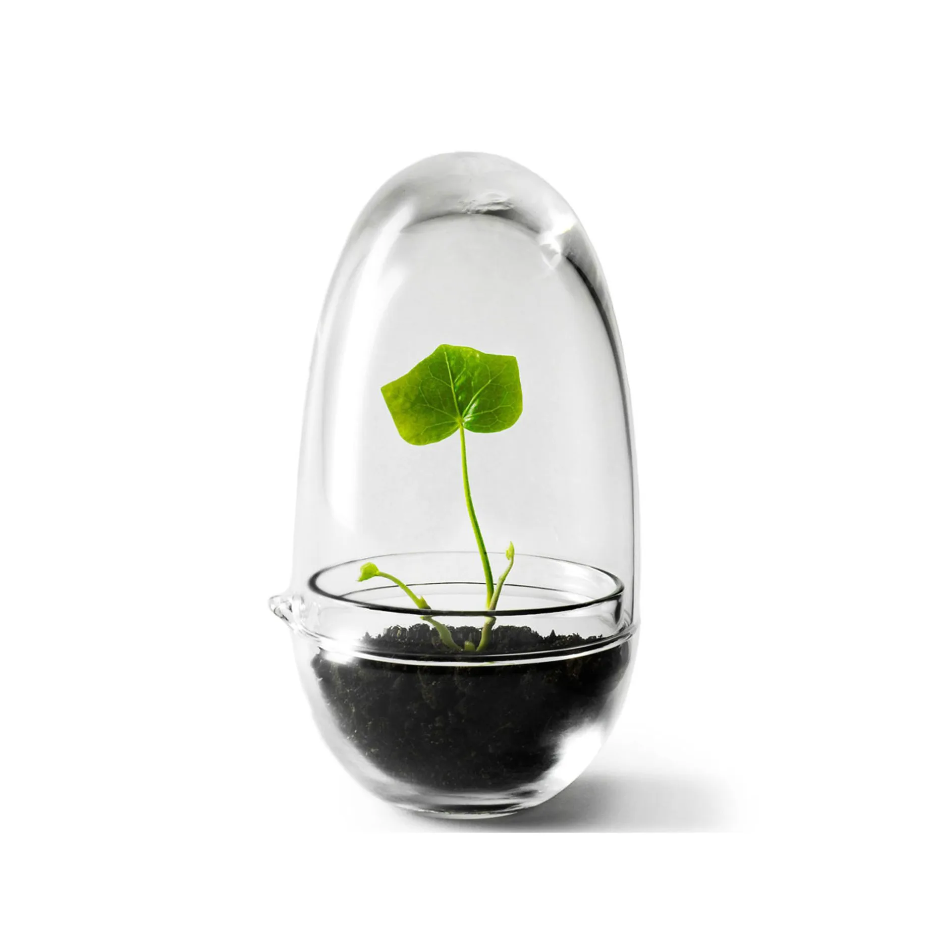 Grow vekstkuppel, Small ø8 cm Design House Stockholm