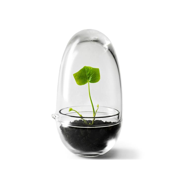 Grow vekstkuppel - Small ø8 cm - Design House Stockholm