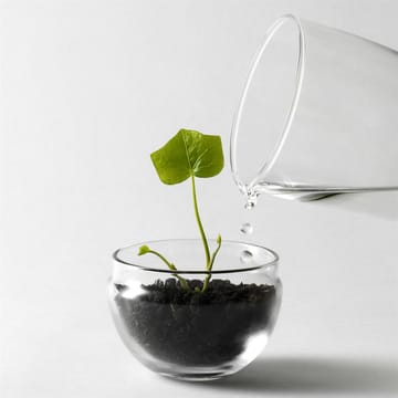 Grow vekstkuppel - Small ø8 cm - Design House Stockholm