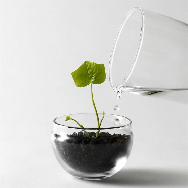 Grow vekstkuppel, Small ø8 cm Design House Stockholm