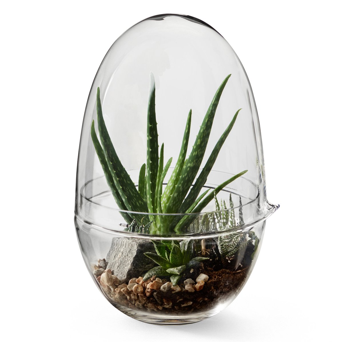 Bilde av Design House Stockholm Grow vekstkuppel x-large Ø20 cm