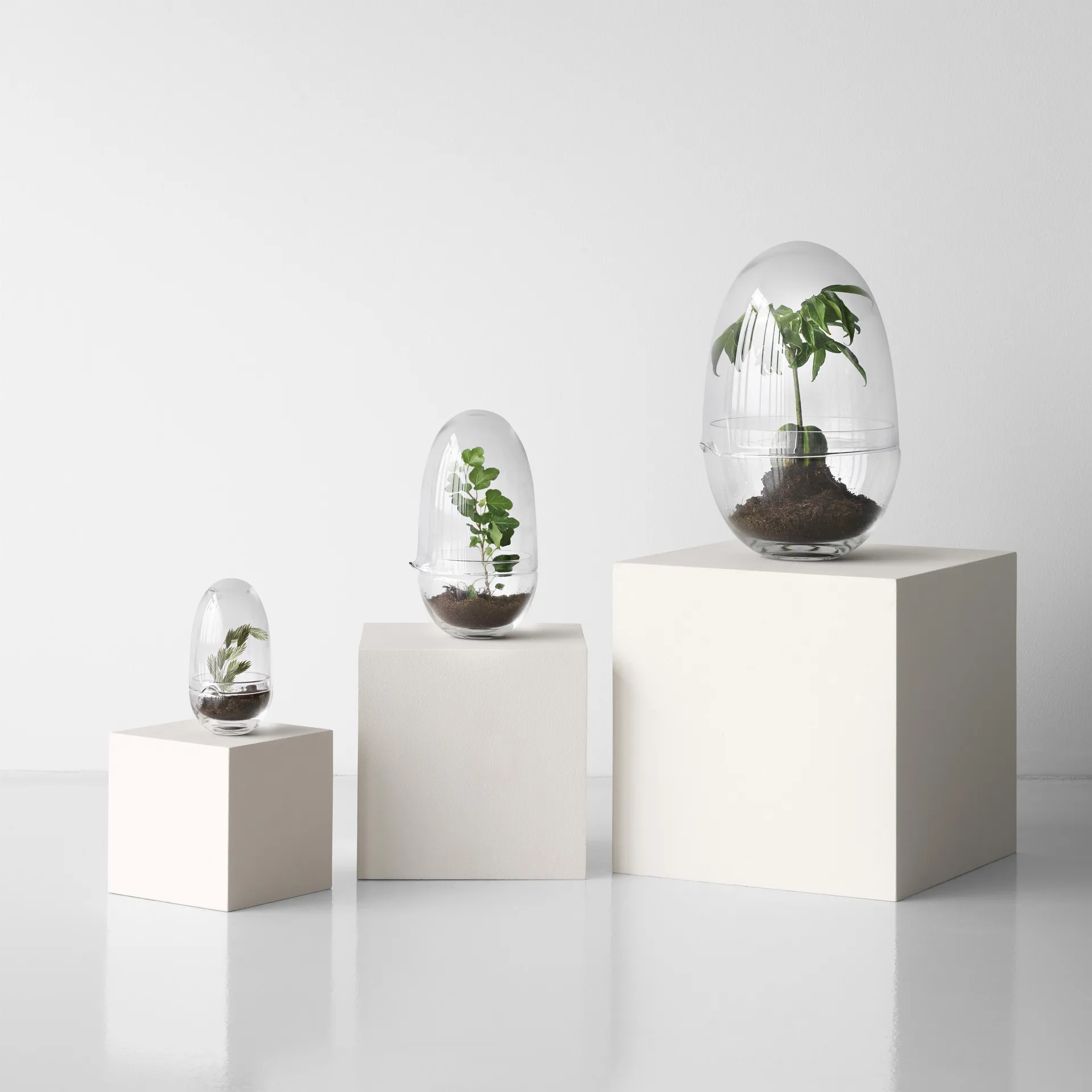 Grow vekstkuppel, x-large Ø20 cm Design House Stockholm