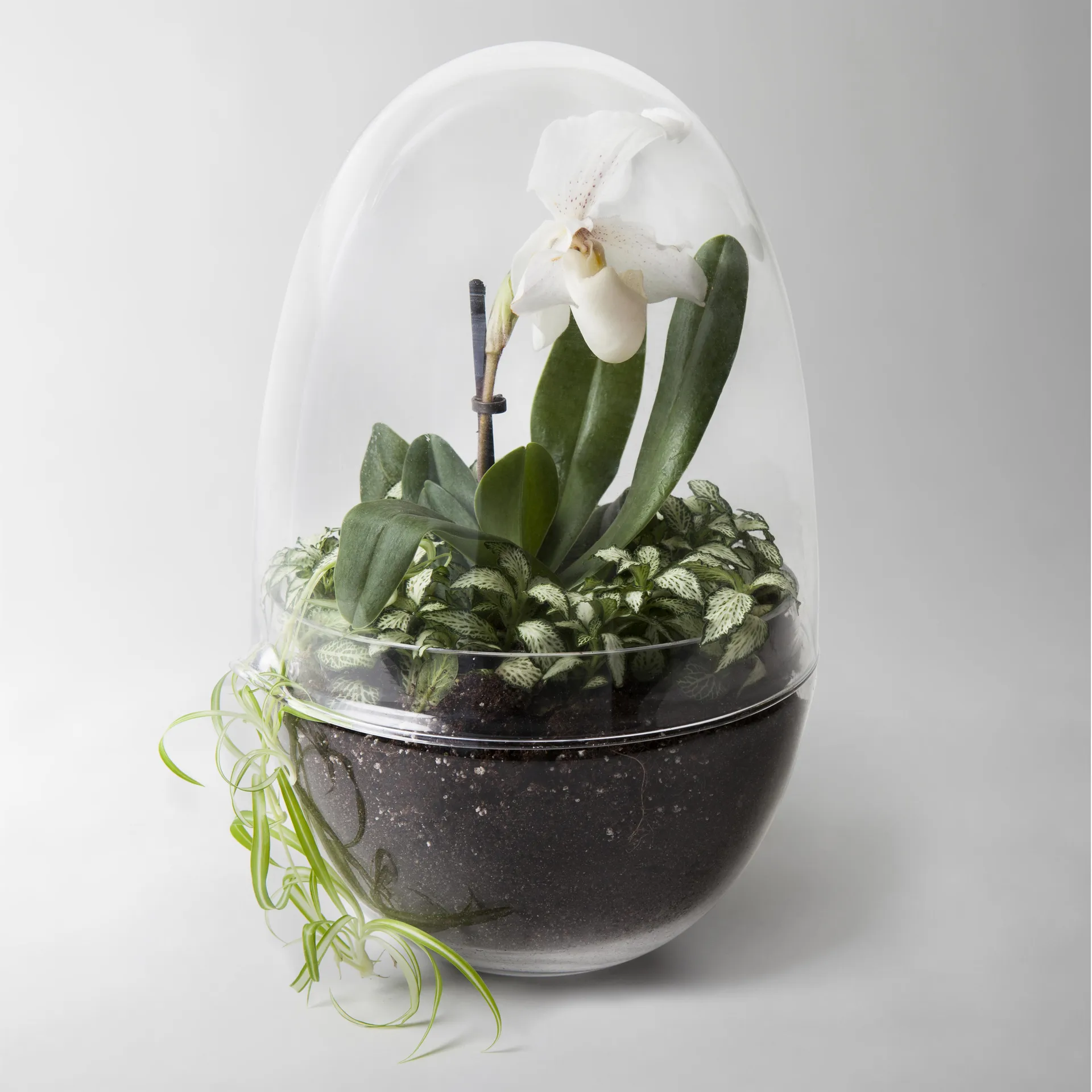 Grow vekstkuppel, x-large Ø20 cm Design House Stockholm