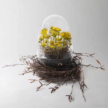 Grow vekstkuppel - x-large Ø20 cm - Design House Stockholm