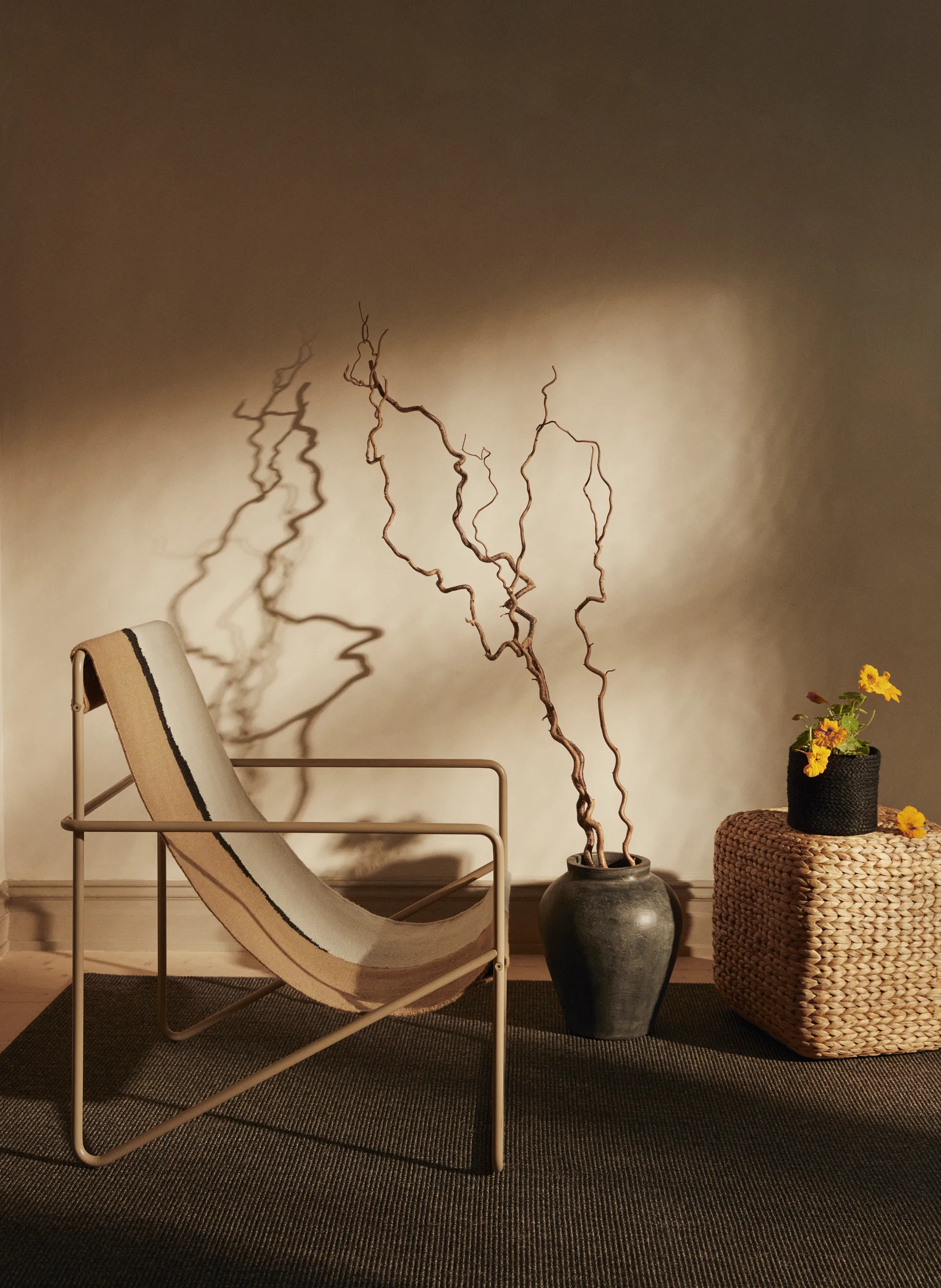 Lily sittepuff, Naturlig, vannhyasint, kvadratisk Dixie