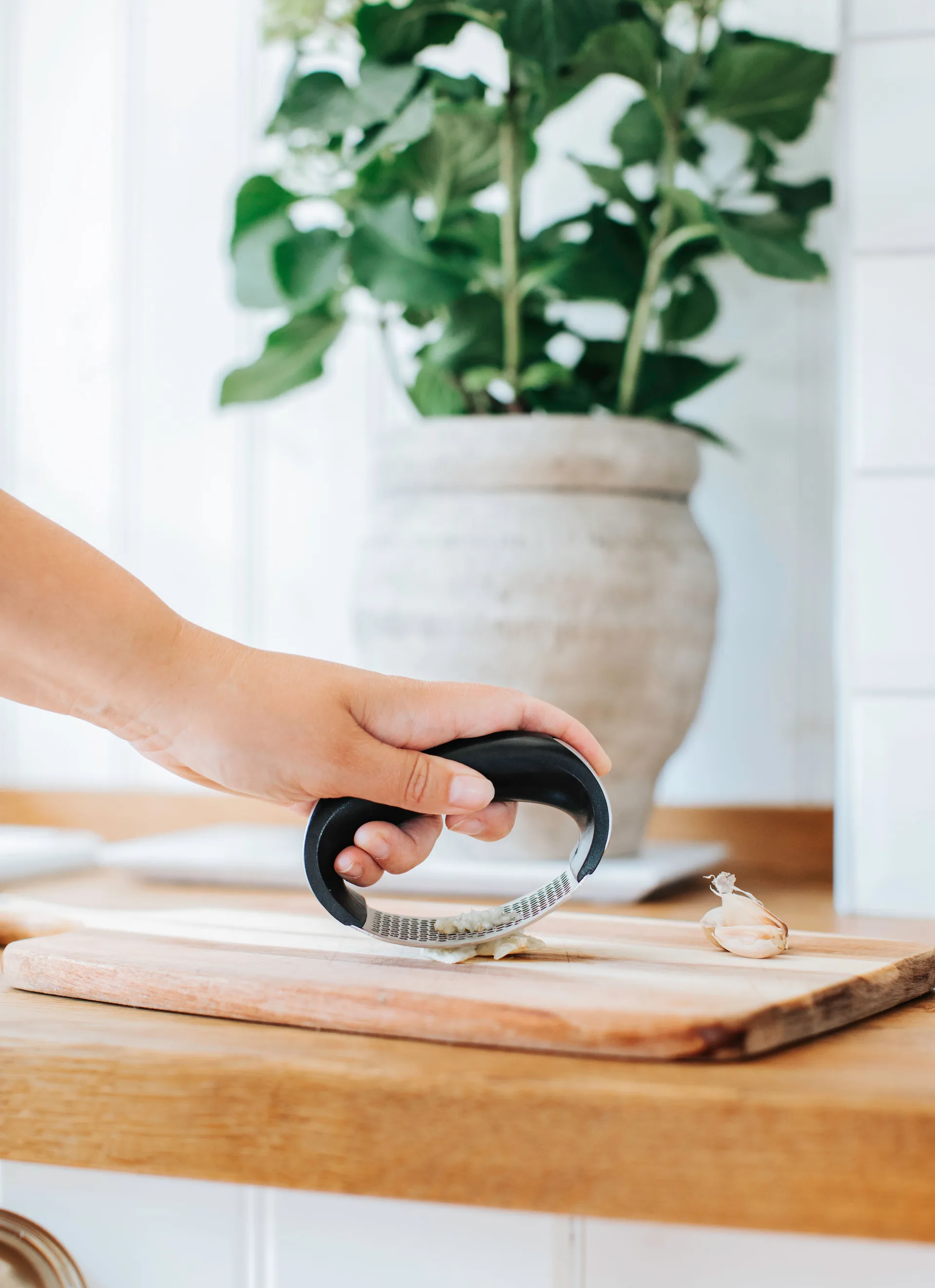 Garli hvitløkspresse, Rustfritt stål Dorre