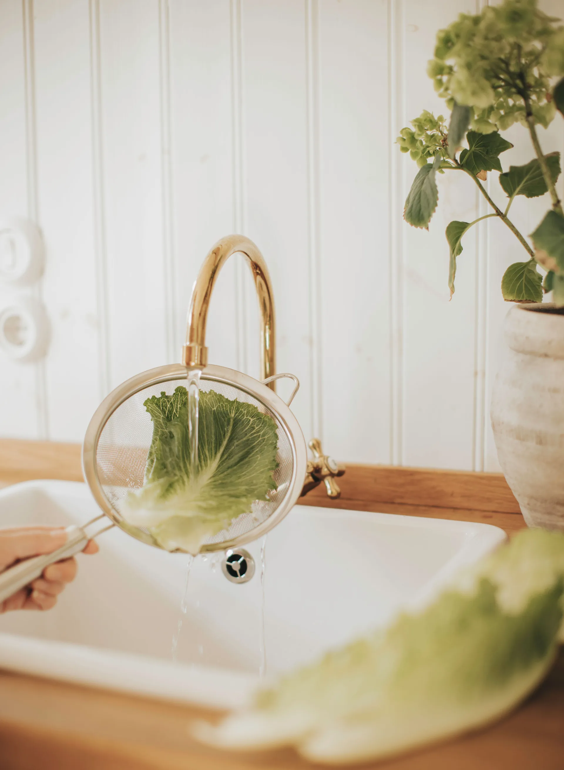 Pia sil Ø20 cm, Rustfritt stål Dorre