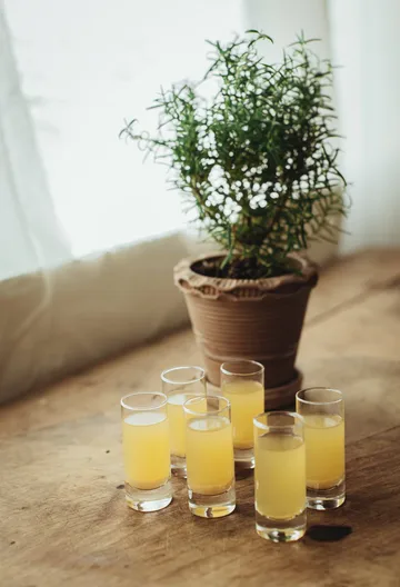 Saba snapseglass - Raka, 6-pakning, 6 cl - Dorre