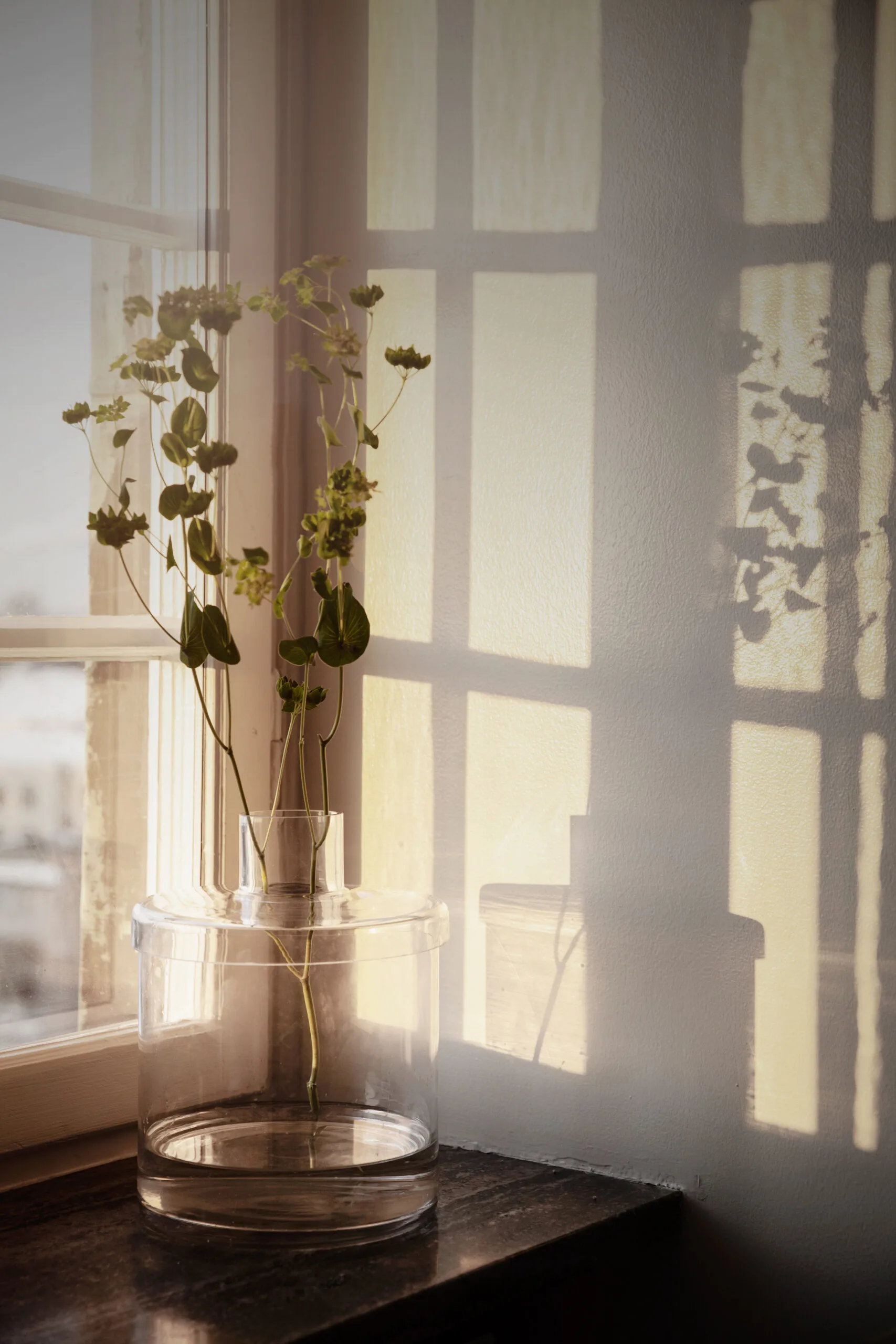 Ernst glassvase klar, Ø 20,8 cm ERNST