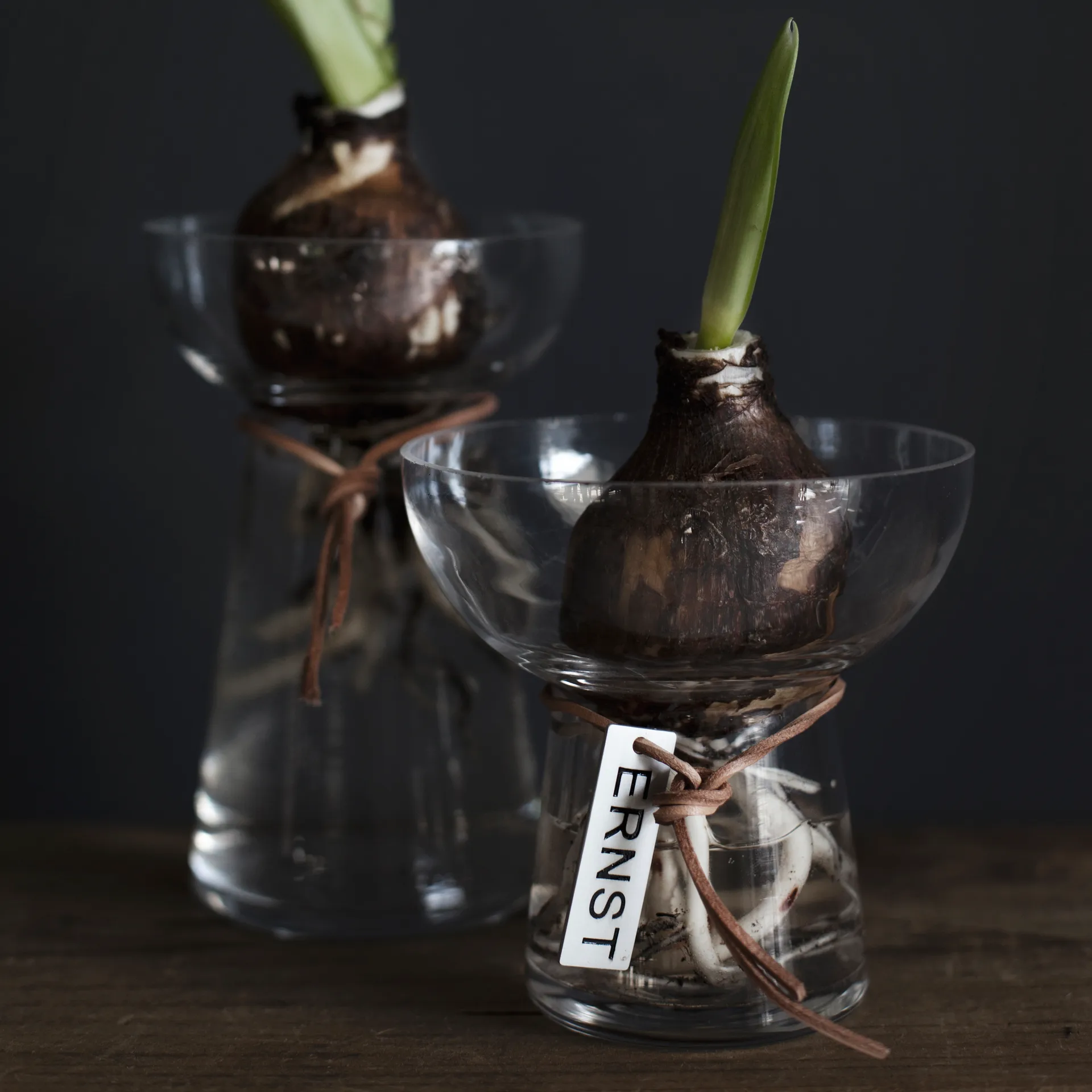 Ernst hyacintvase 11 cm, Klar ERNST