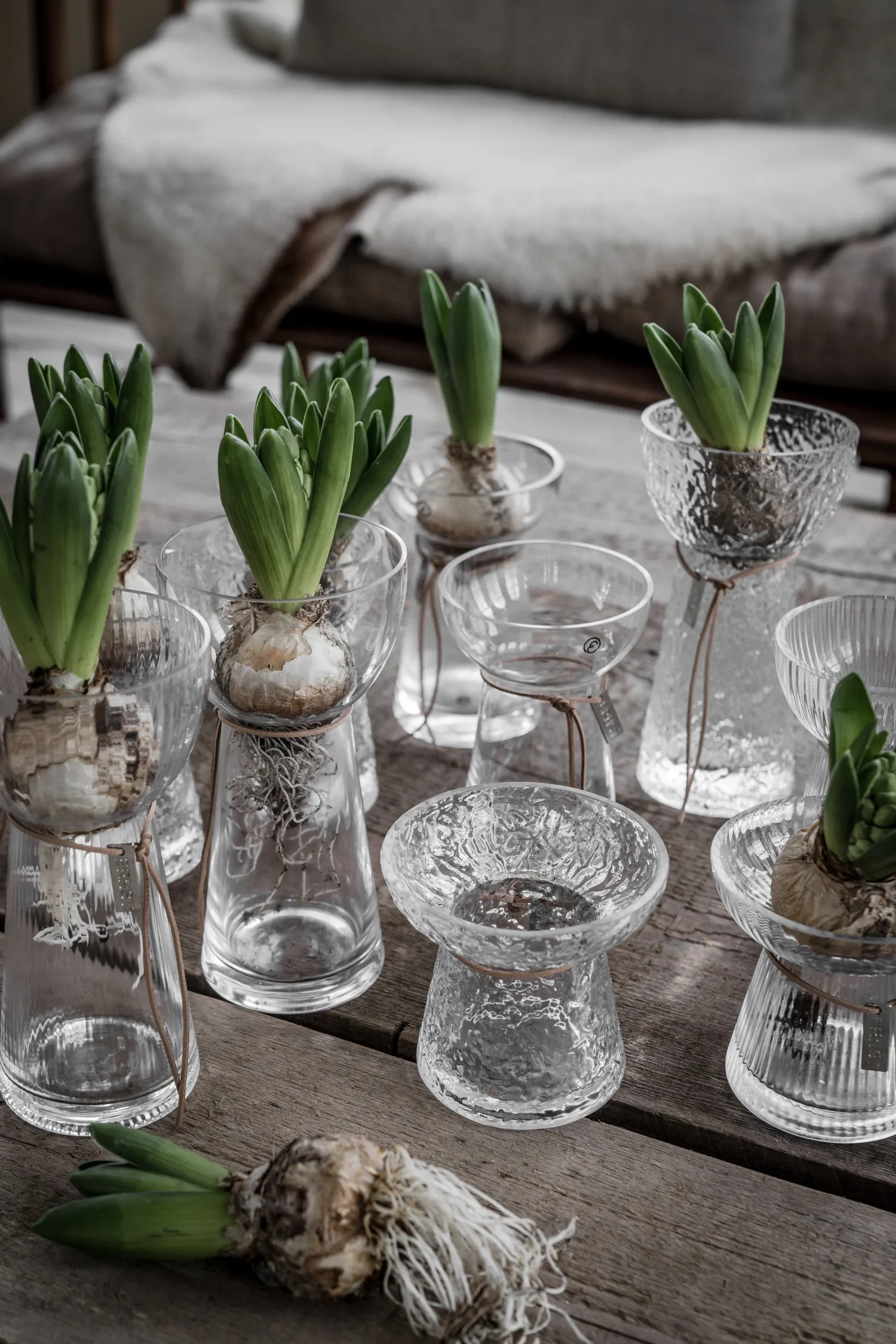 Ernst løkvase stripete, 15 cm ERNST