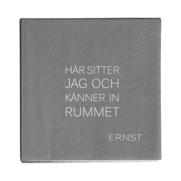 Ernst serviett med sitat Tid-Rum 20-pakning - Grå - ERNST