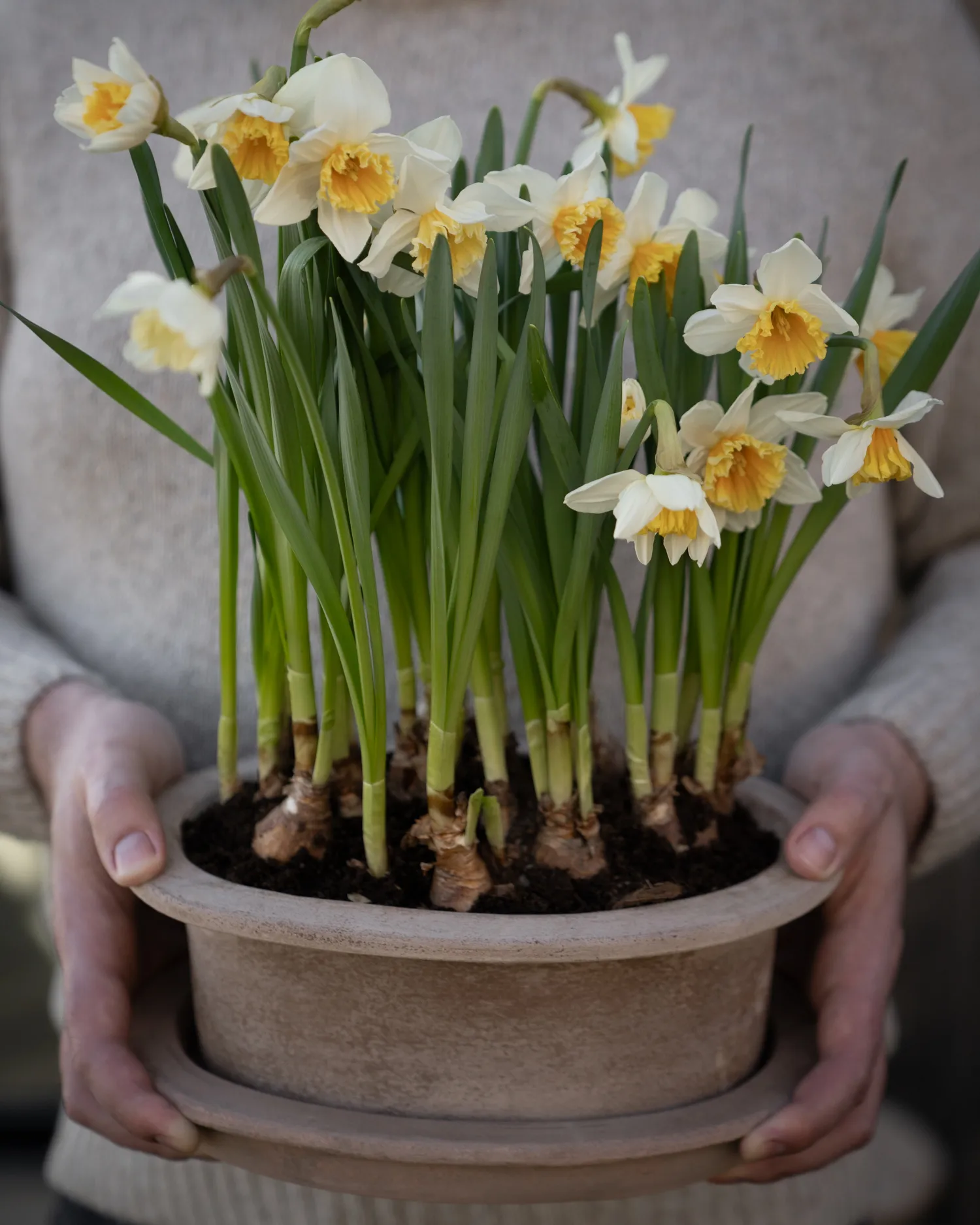 Ernst terracotta oval krukke 2 deler, Brun ERNST