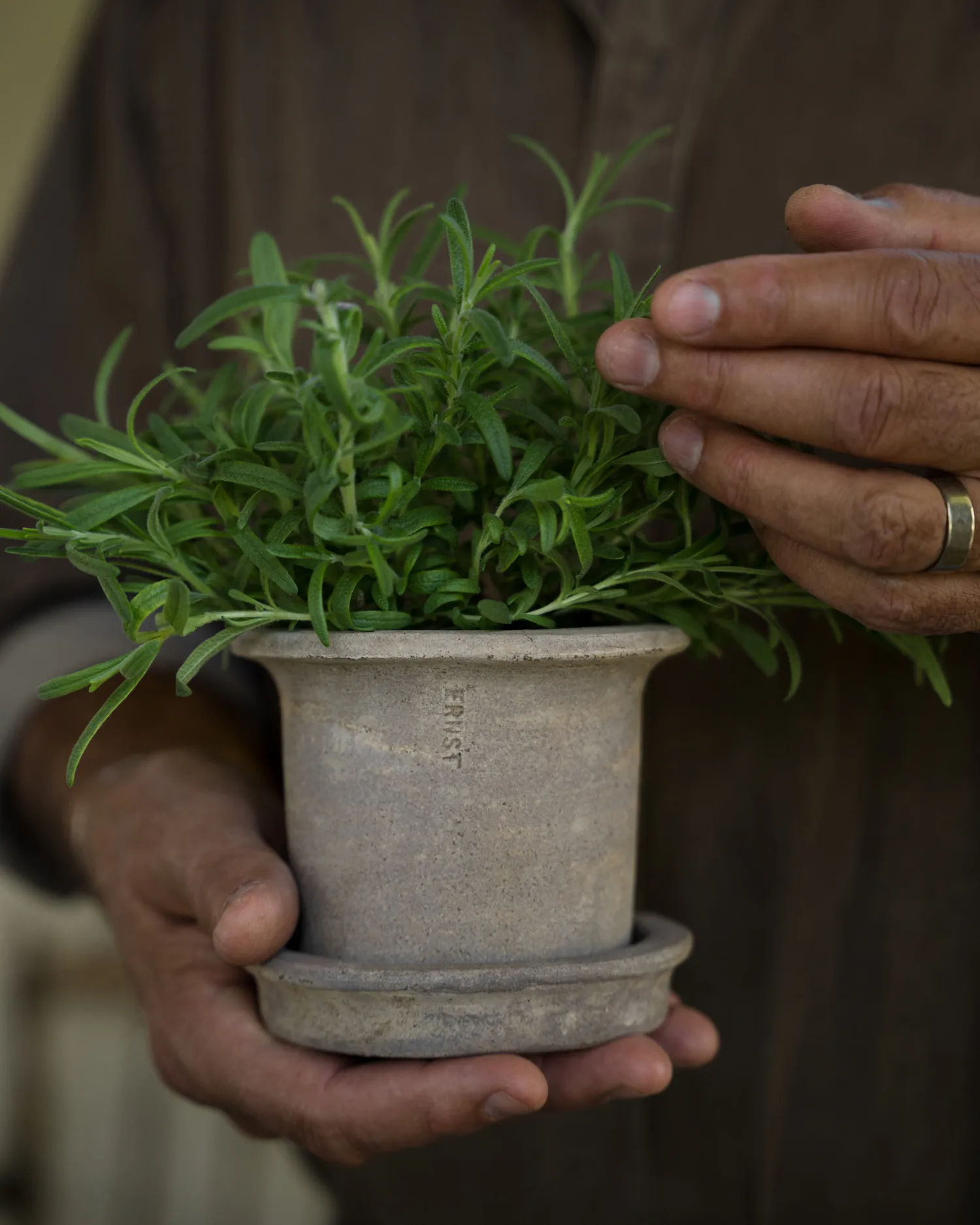 Ernst terrakottapotte med fat, Ø12×10 cm ERNST