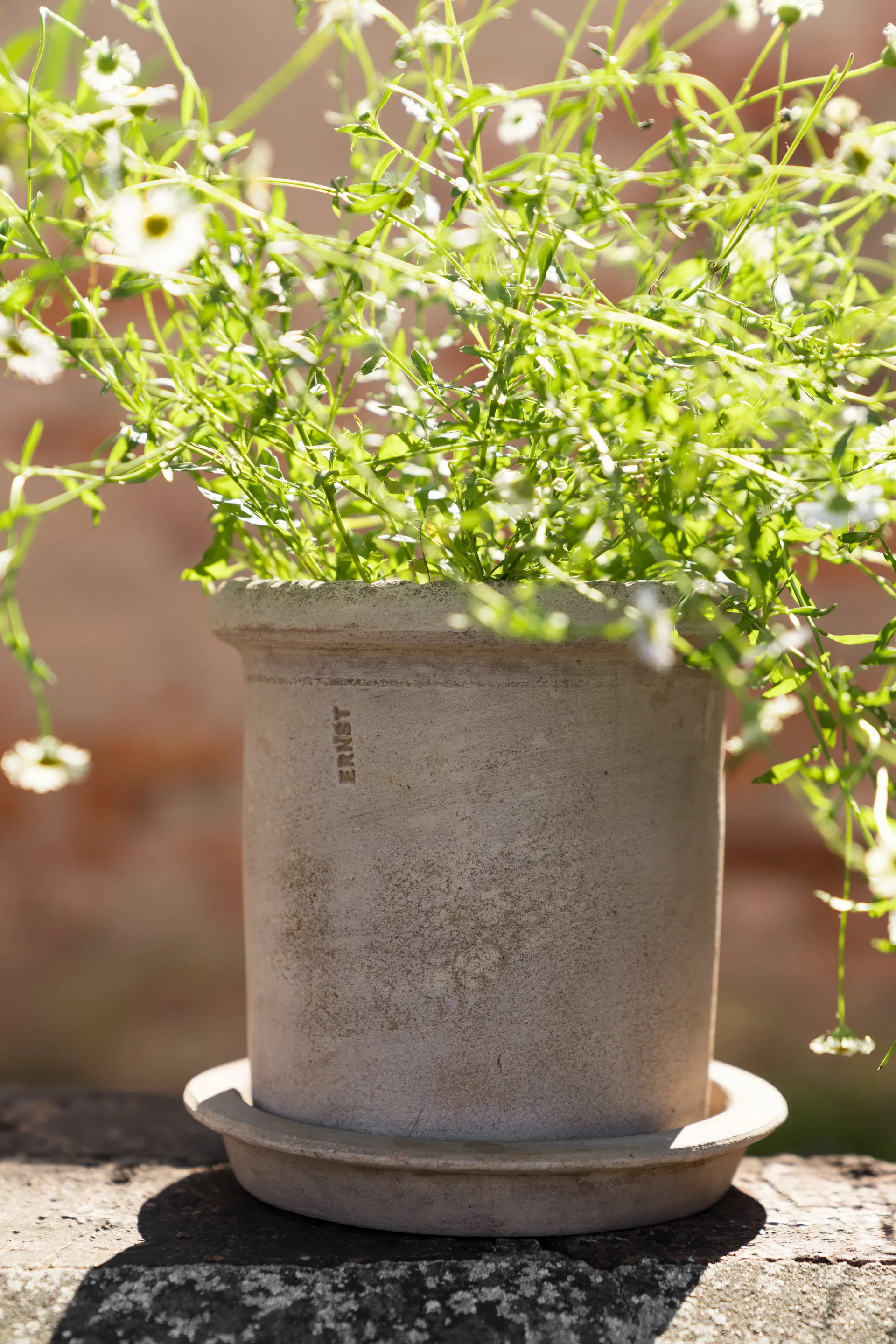 Ernst terrakottapotte med fat, Ø16x16 cm ERNST