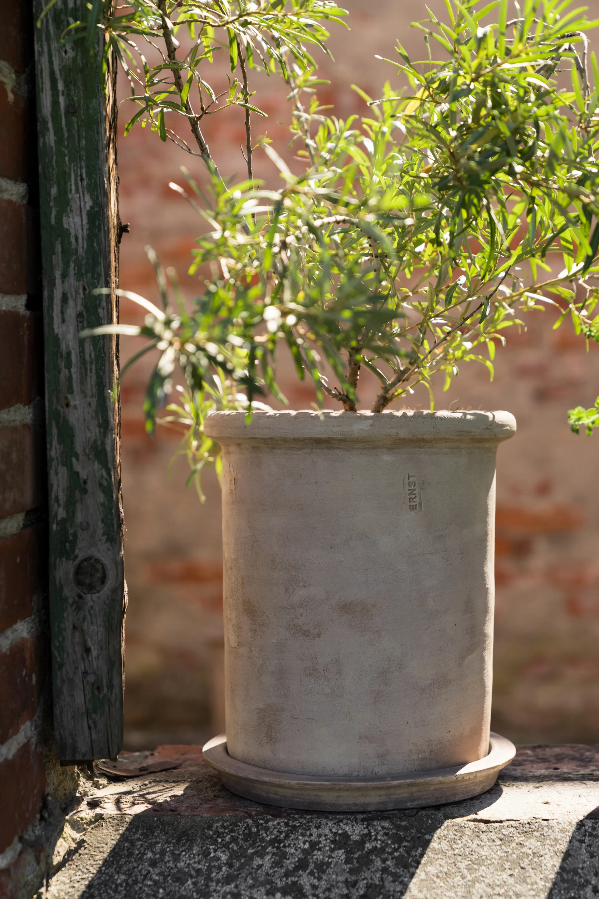 Ernst terrakottapotte med fat, Ø25x28 cm ERNST