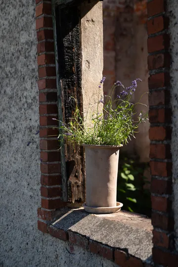 Ernst terrakottapotte med fat - Ø25x35 cm - ERNST