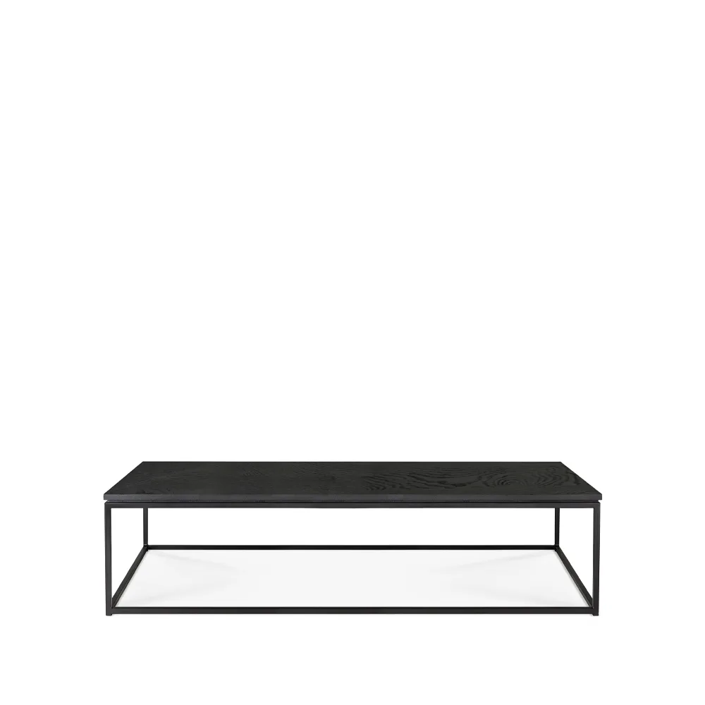 Thin salongbord 120 x 70 cm, Sort eik-Metall 120 x 70 cm Ethnicraft