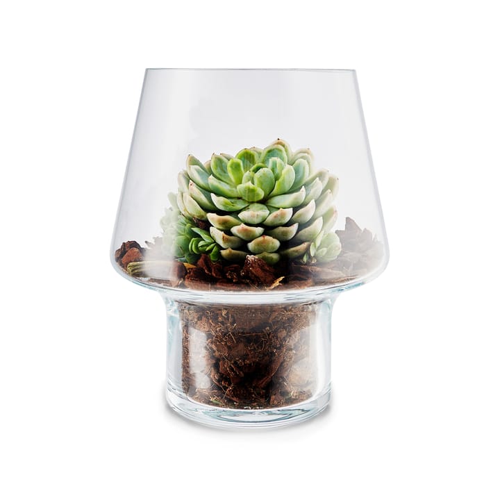 Eva Solo glassvase for sukkulenter, Ø15 cm Eva Solo