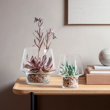 Eva Solo glassvase for sukkulenter - Ø15 cm - Eva Solo