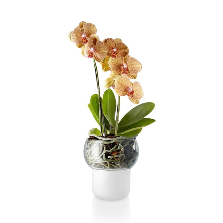 Eva Solo orkidepotte frostet - 13 cm - Eva Solo
