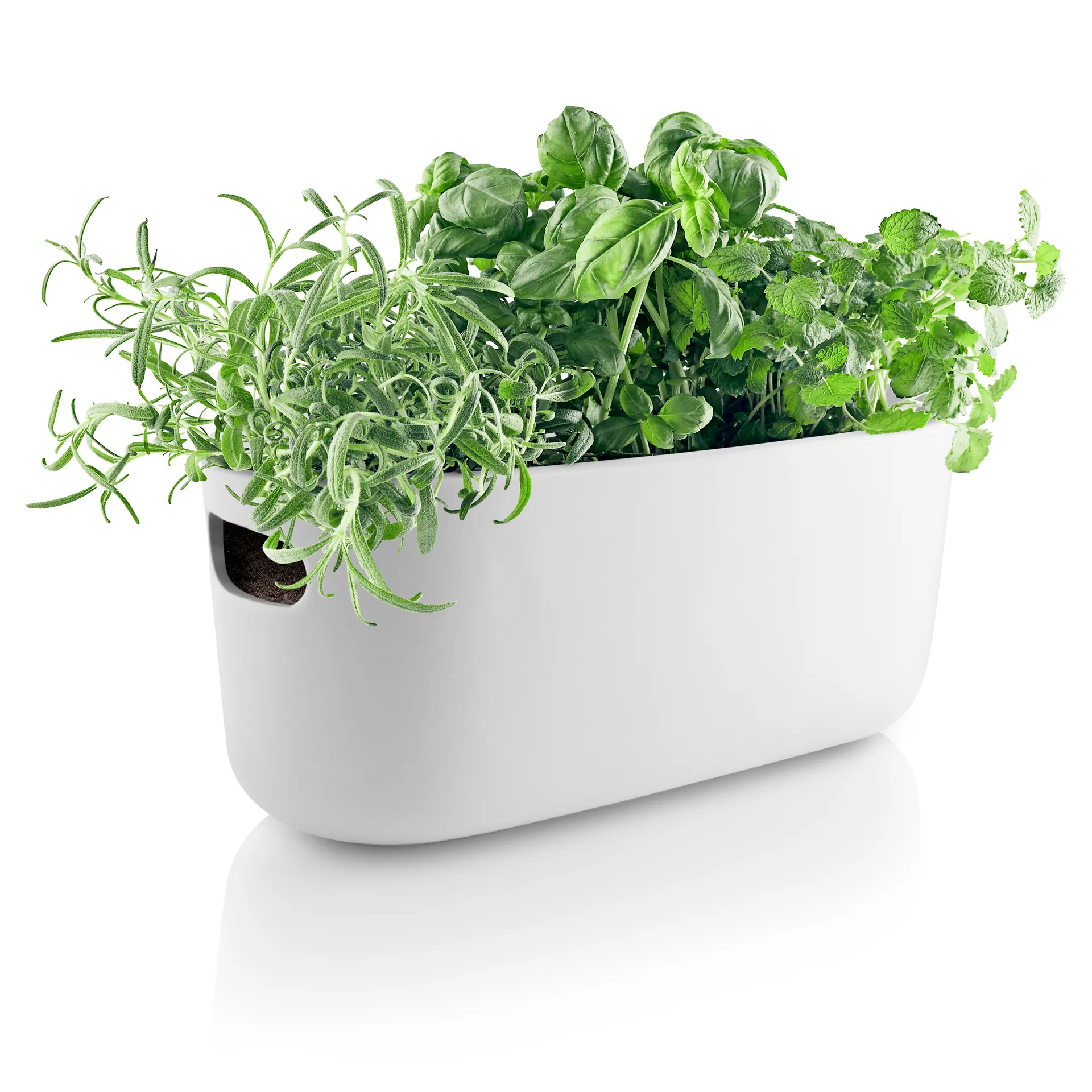 Eva Solo selvvannende herb organiser, Hvit Eva Solo