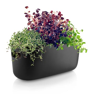 Eva Solo selvvannende herb organiser - Svart - Eva Solo