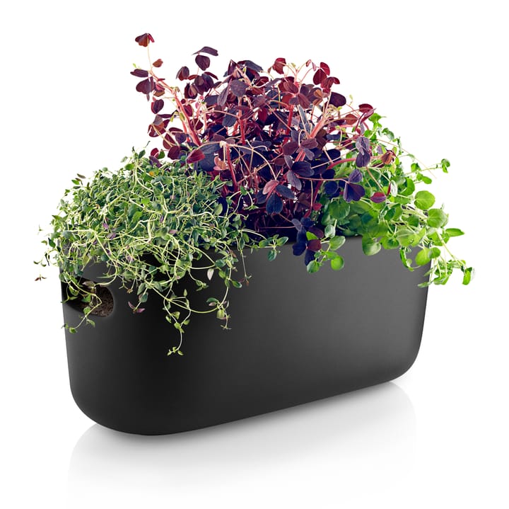 Eva Solo selvvannende herb organiser, Svart Eva Solo