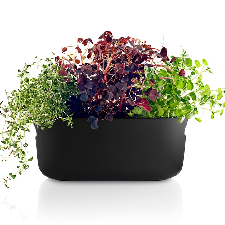 Eva Solo selvvannende herb organiser, Svart Eva Solo