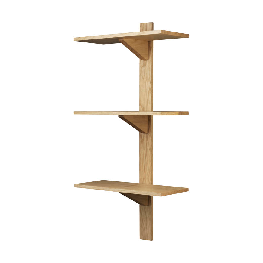 FDB Møbler B100 Sorø hylle 50x100 cm oak nature oiled