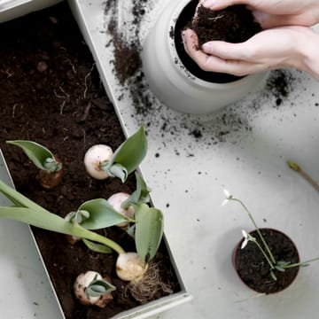 ferm LIVING Plant Box small - lysegrå - Ferm LIVING