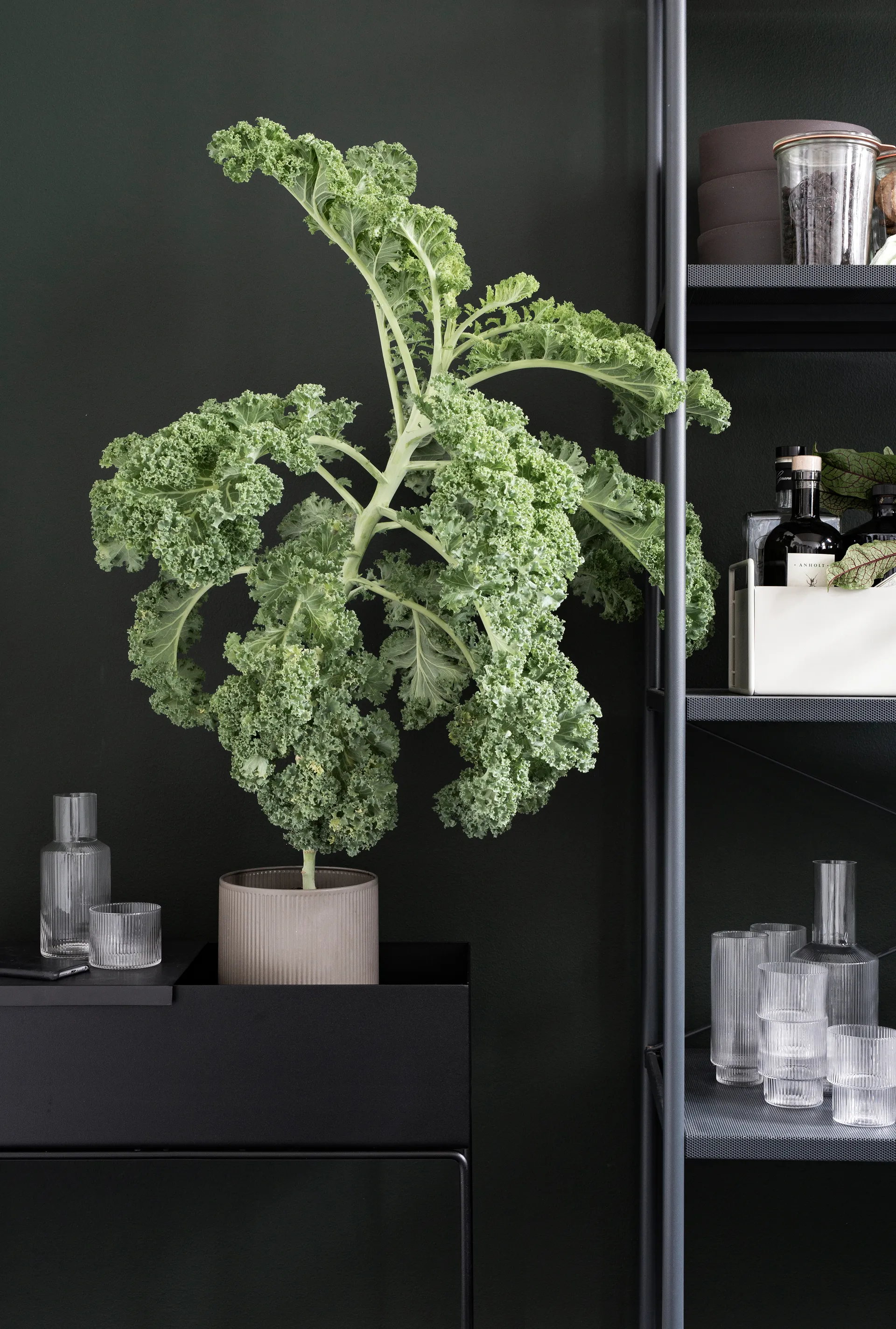 ferm LIVING Plant Box, svart Ferm Living