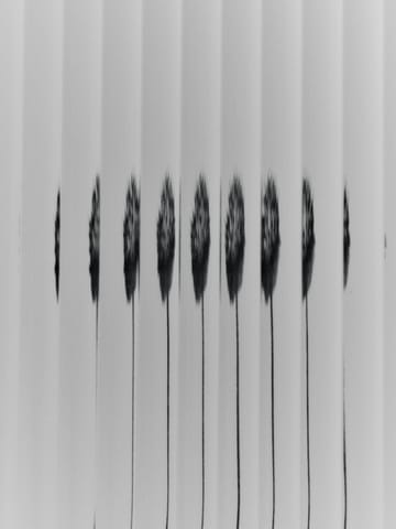 Haze veggskap 35x100 cm - Cashmere - Ferm Living