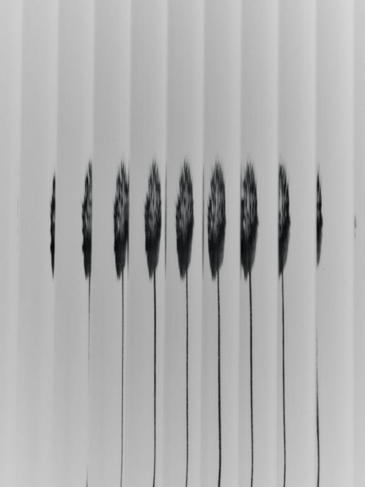 Haze veggskap 35x100 cm, Cashmere Ferm Living