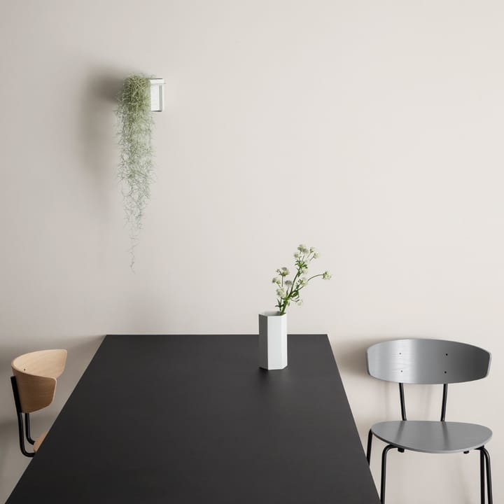 Herman stol, Walnut, sort stålstativ Ferm Living