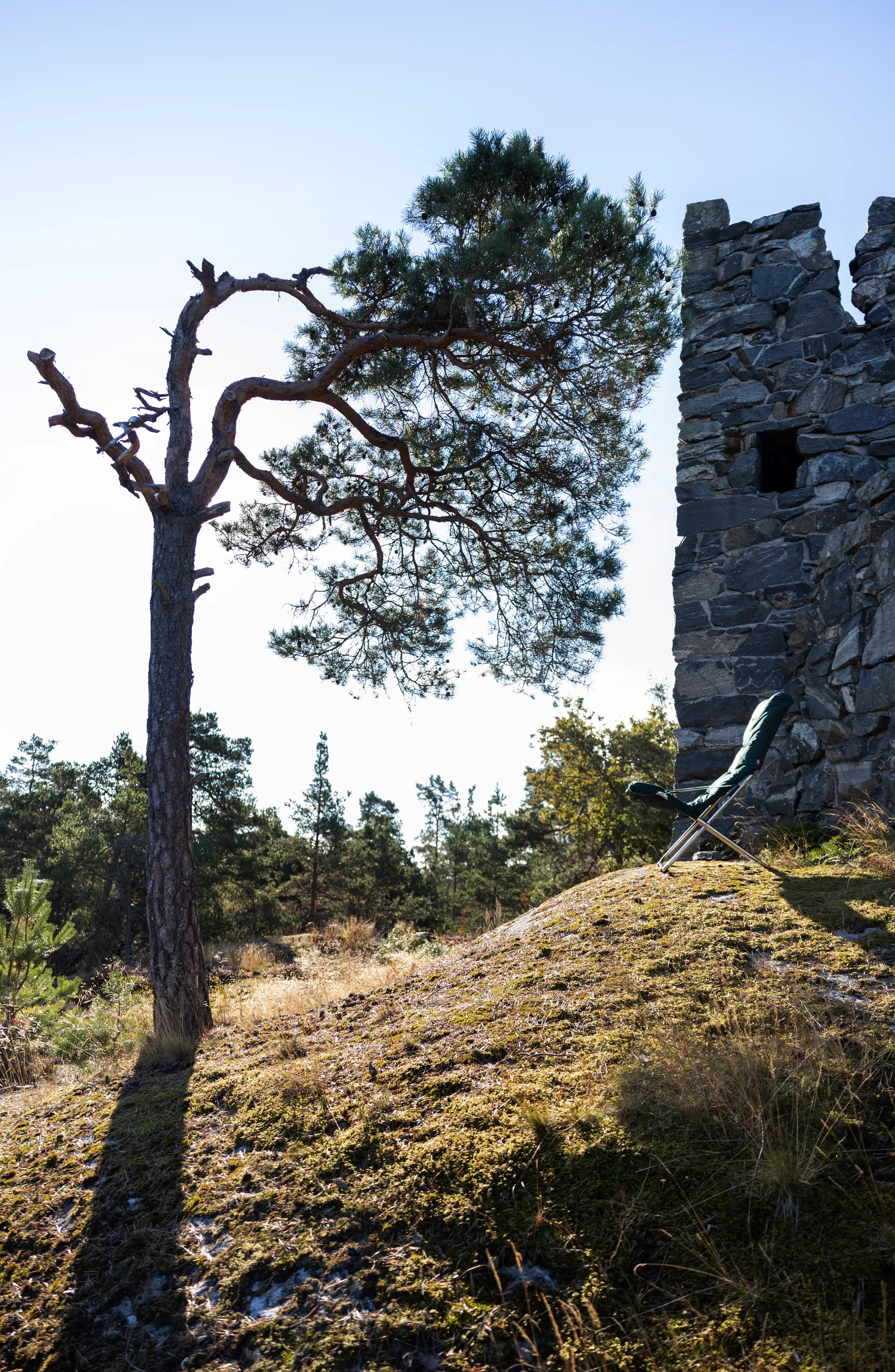 Fiesta Soft solstol, Stoff dark green-aluminiumsstativ Fiam