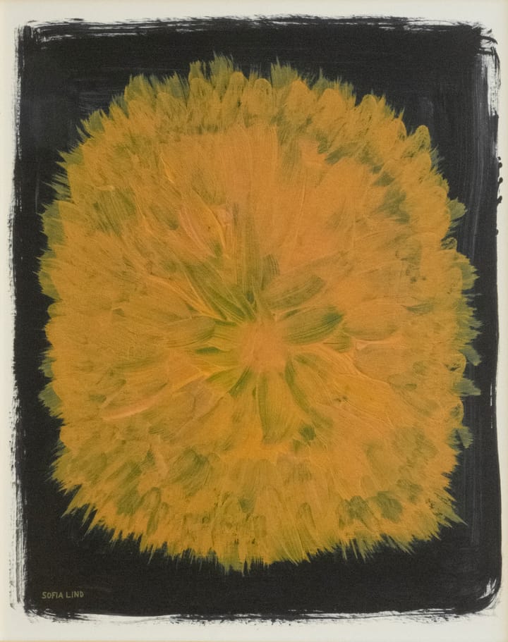 Dandelion plakat 40 x 50 cm - Gul-sort - Fine Little Day