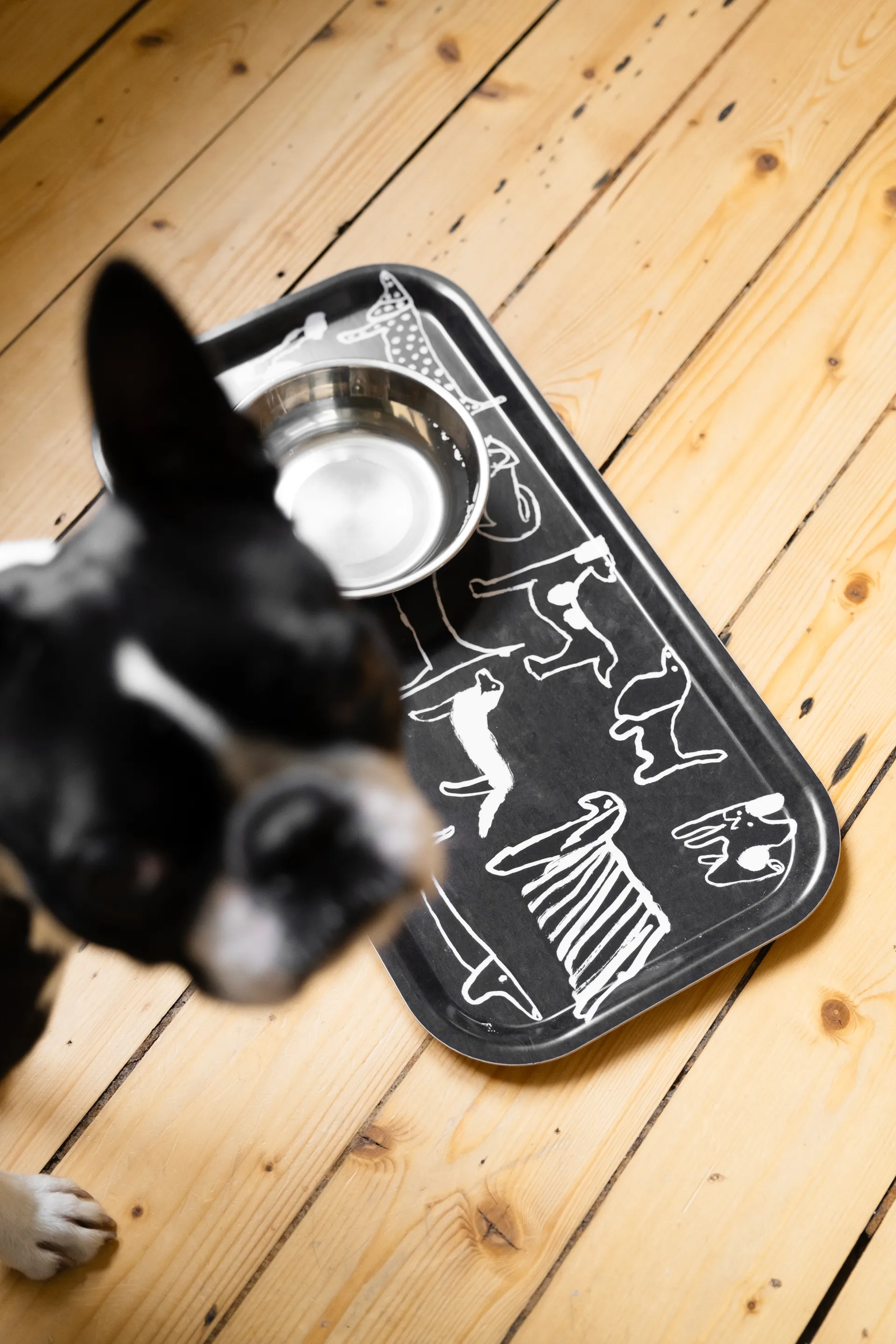 Dogs brett 22x43 cm, Black-white Fine Little Day