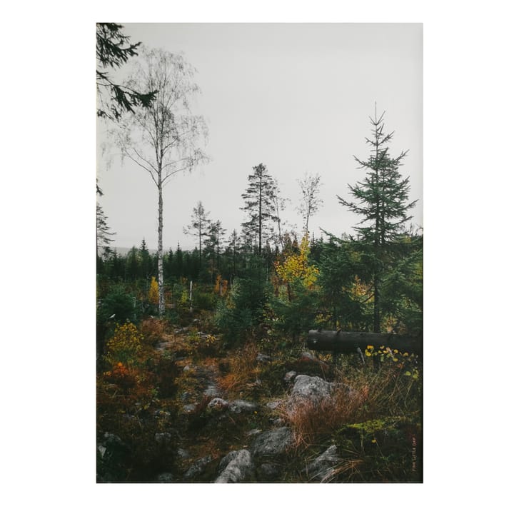 Norrland poster 50x70 cm - Grå-hvit - Fine Little Day