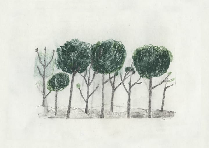 Trees plakat 50 x 70 cm - Sort-offwhite - Fine Little Day
