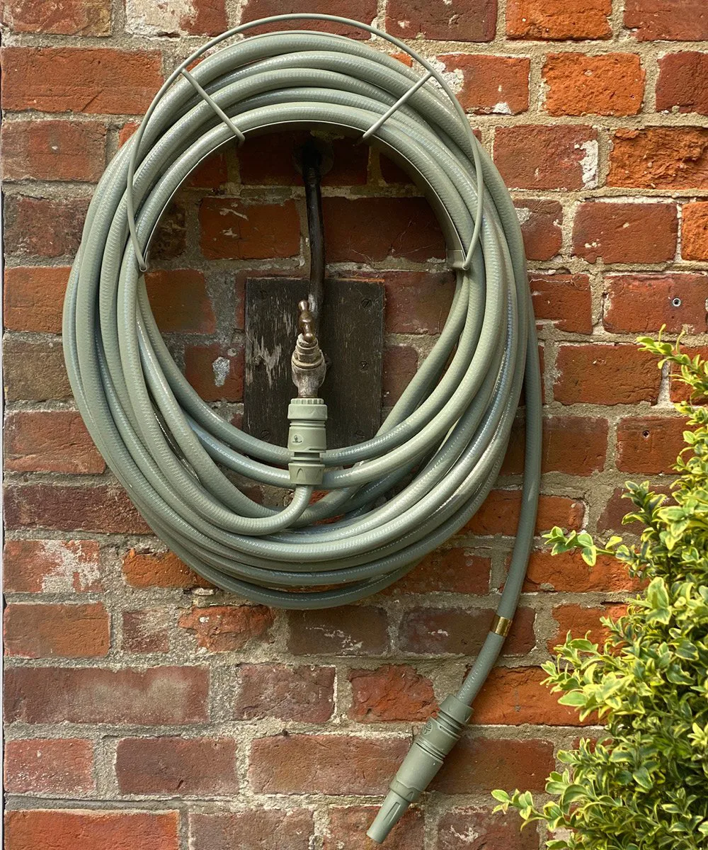 Garden Glory veggfeste classic, Eucalyptus leaf Garden Glory