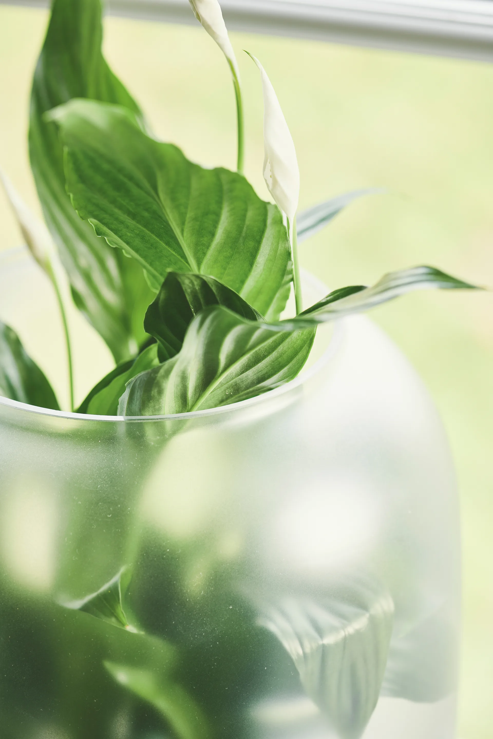 Nebl krukke med frostet glass Ø 26 cm, Grå Gejst