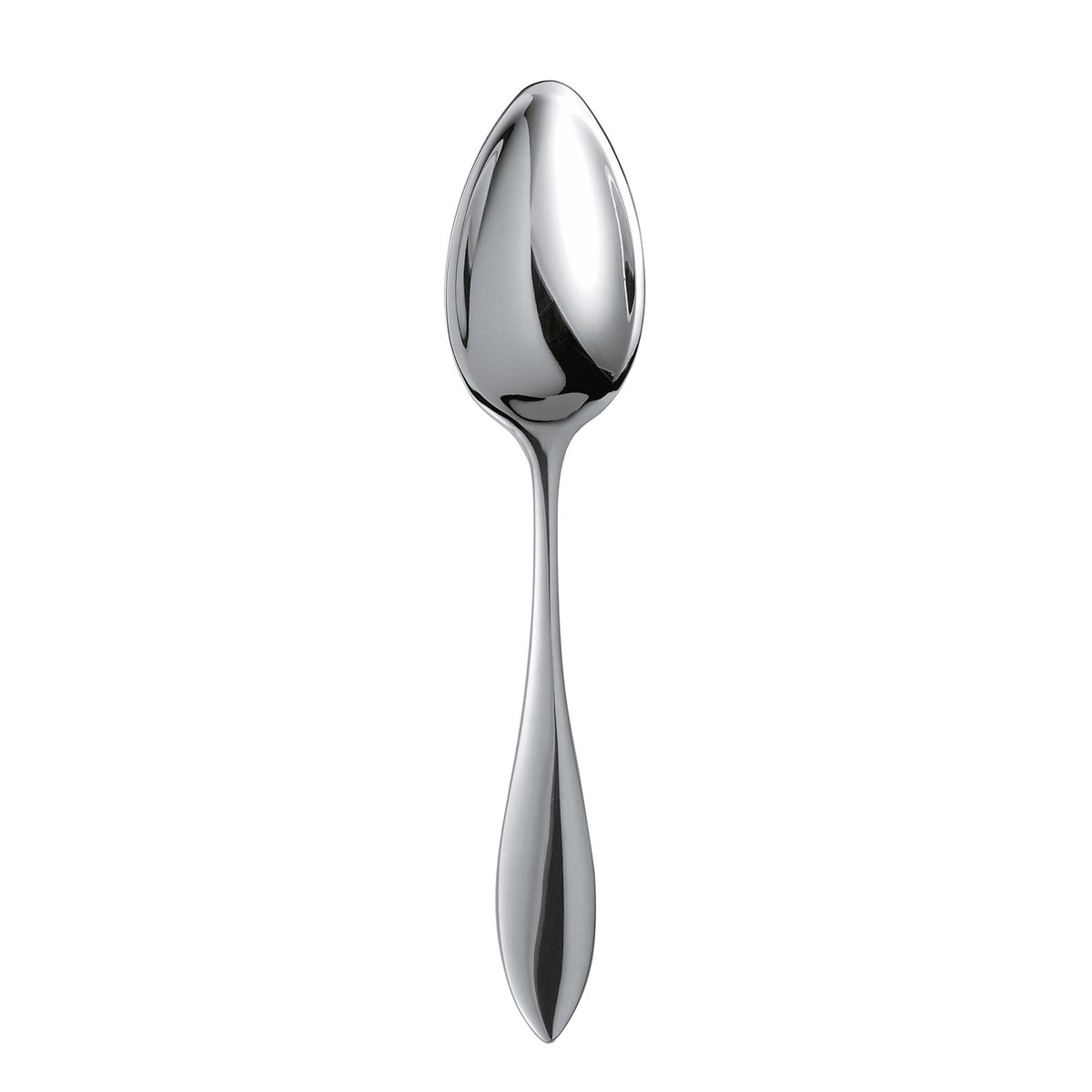 Gense Tablespoon Indra 21 cm Glossy steel